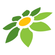 SURYA138
